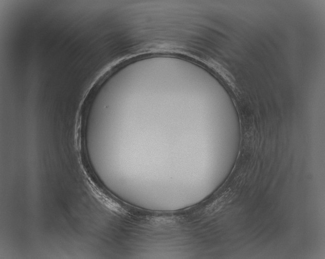 X0000076061126200610061529