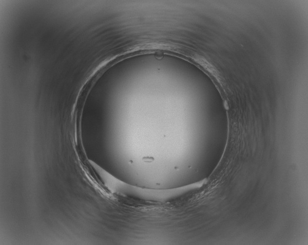 X0000076061127200610061529