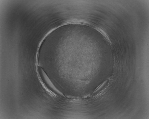 X0000076061128200610061529