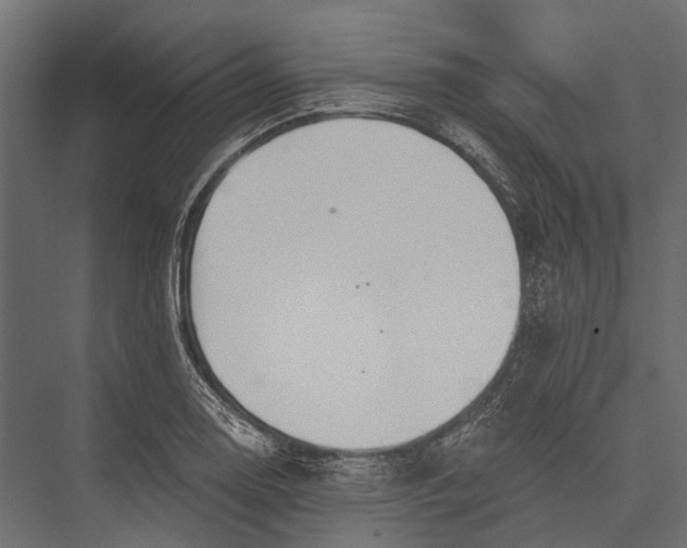 X0000076061130200610061529