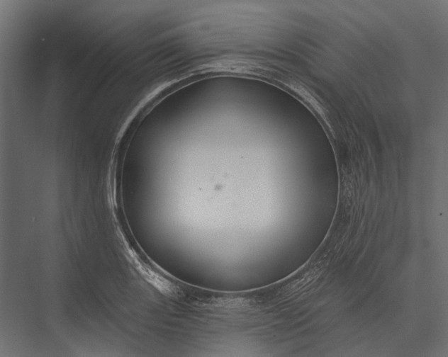 X0000076061131200610061529