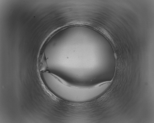 X0000076061132200610061529