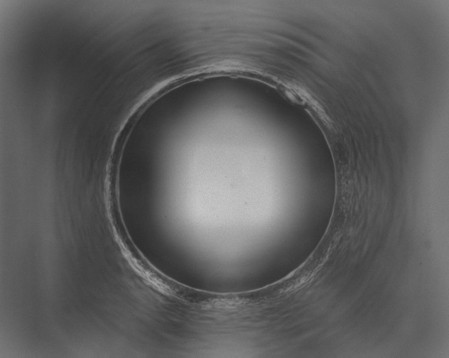 X0000076061134200610061529