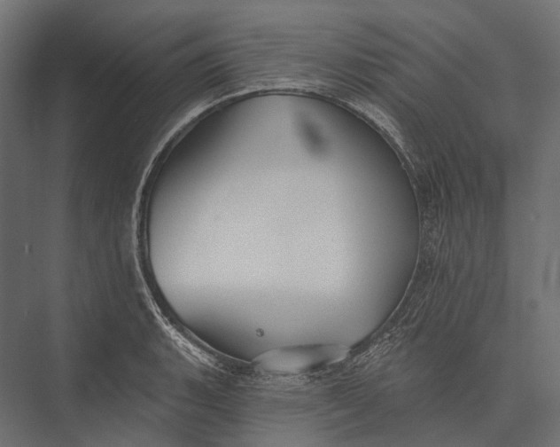 X0000076061135200610061529