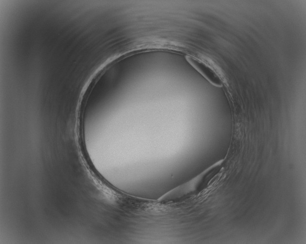 X0000076061136200610061529