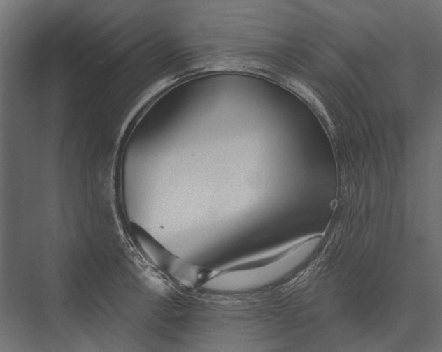 X0000076061138200610061529