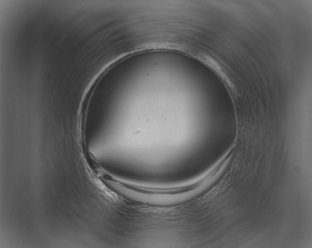 X0000076061140200610061529