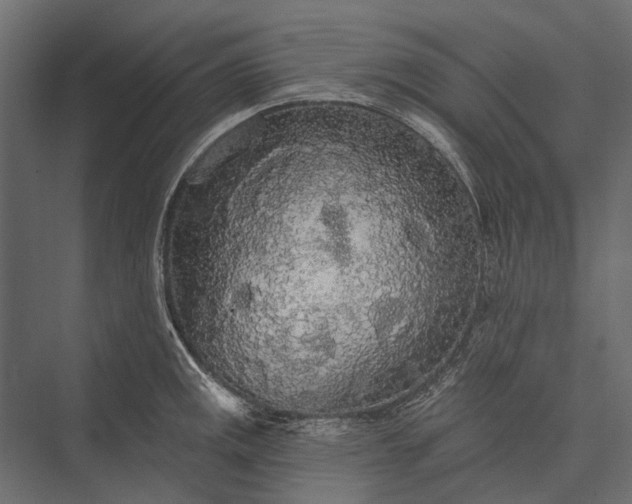 X0000076061141200610061529