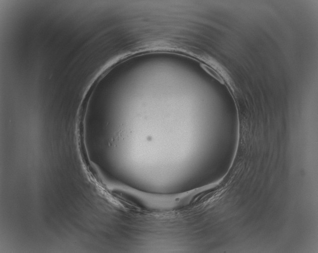 X0000076061142200610061529