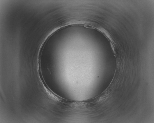 X0000076061143200610061529