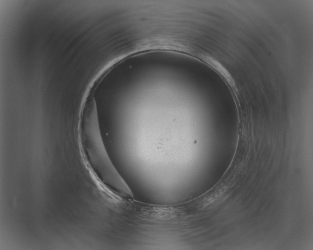 X0000076061144200610061529