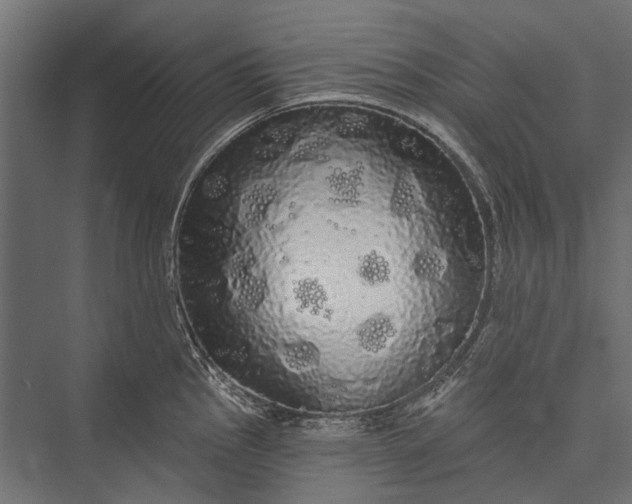 X0000076061145200610061529