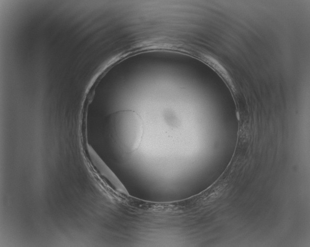 X0000076061146200610061529