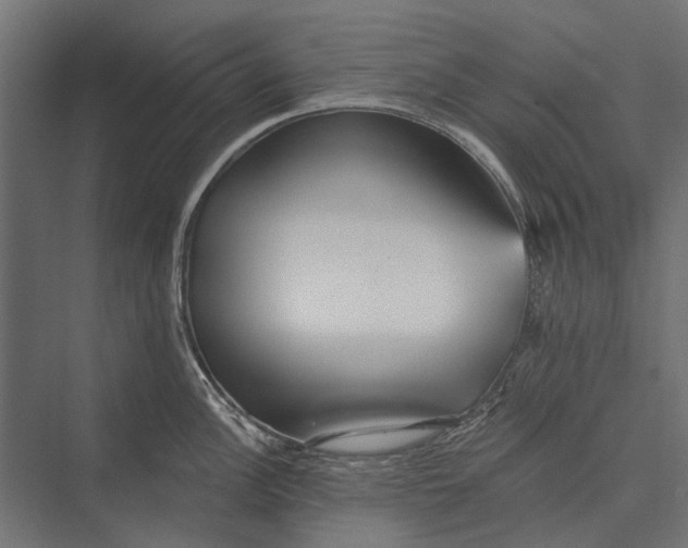 X0000076061148200610061529