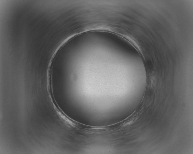 X0000076061151200610061529