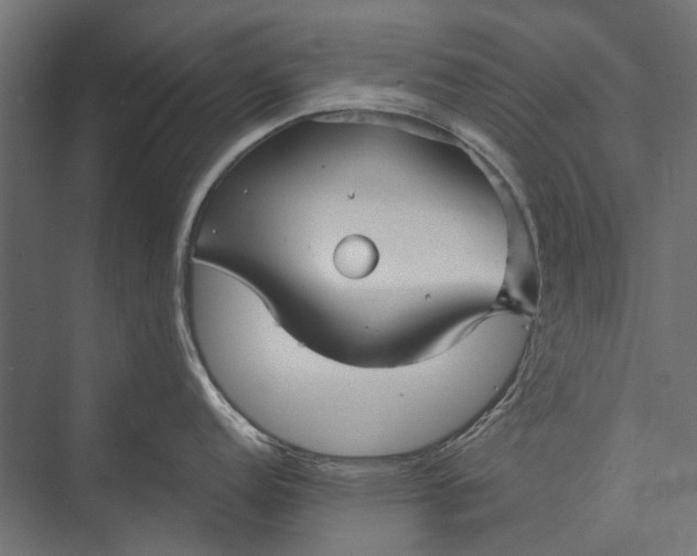 X0000076061152200610061529