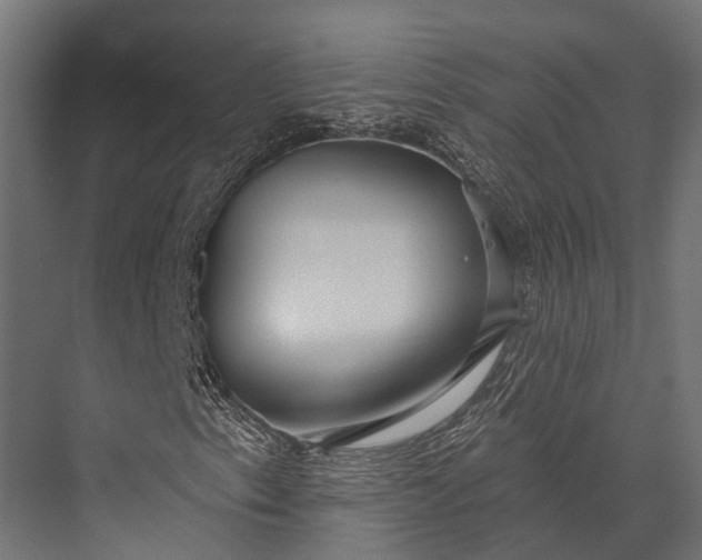 X0000076061153200610061529