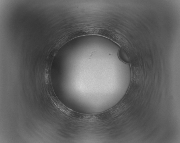 X0000076061154200610061529