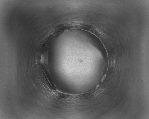 X0000076061156200610061529