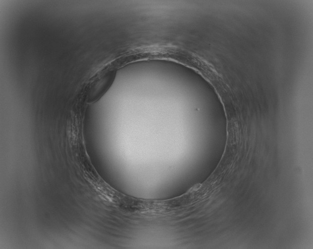 X0000076061158200610061529