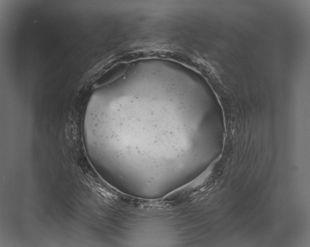 X0000076061159200610061529