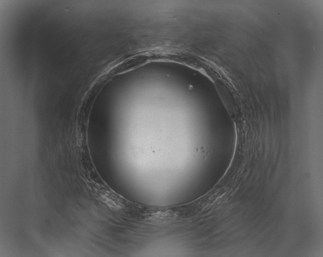 X0000076061160200610061529