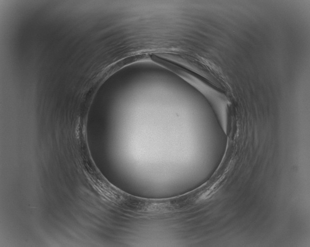 X0000076061161200610061529