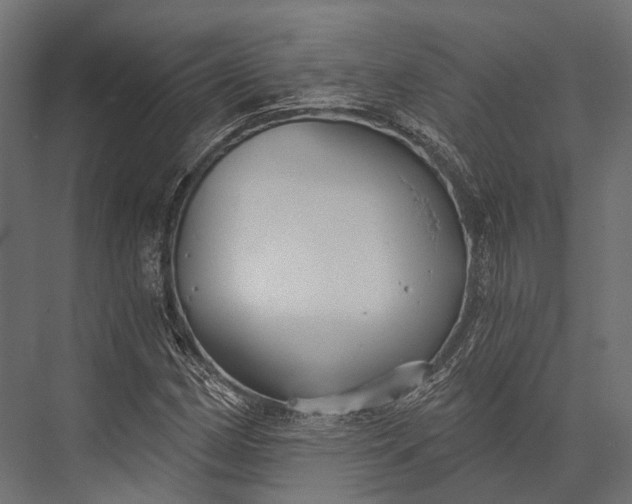 X0000076061162200610061528