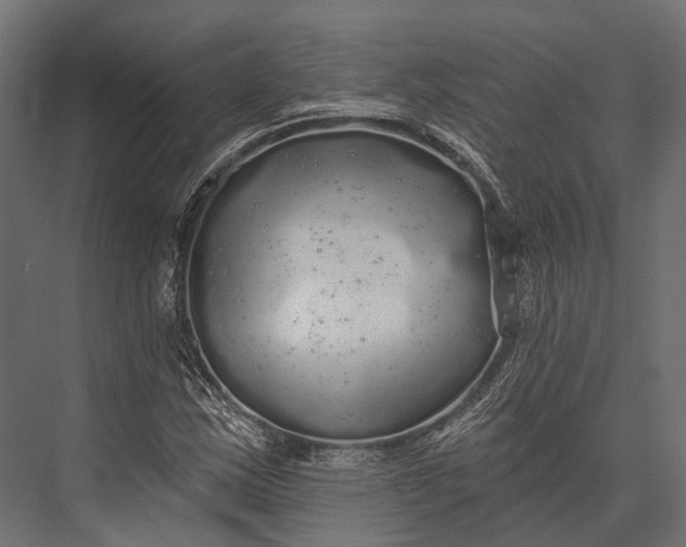 X0000076061163200610061528