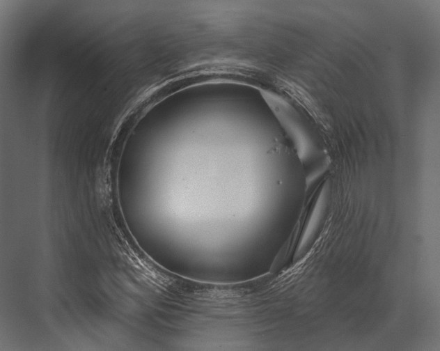 X0000076061164200610061528