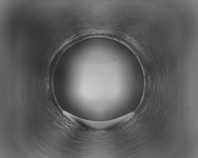 X0000076061165200610061528