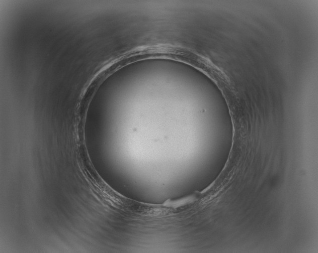 X0000076061166200610061528