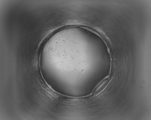 X0000076061167200610061528