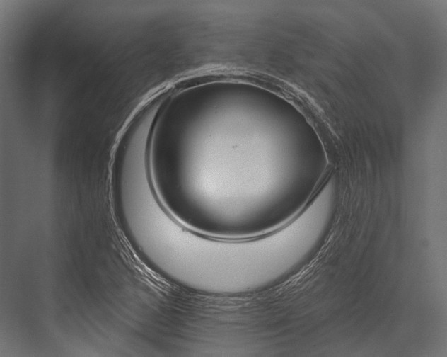 X0000076061168200610061528