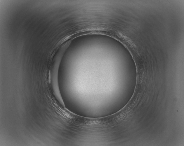 X0000076061169200610061528