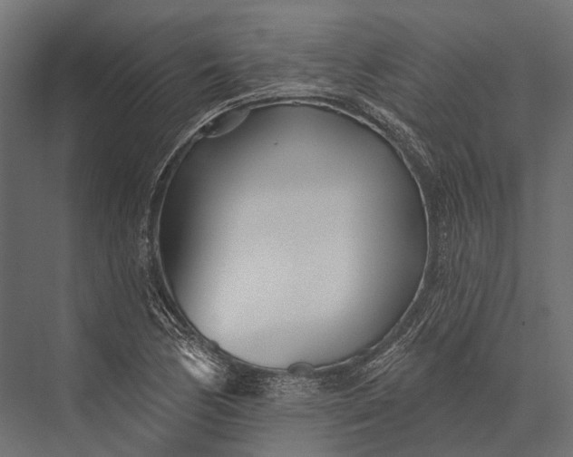 X0000076061170200610061528