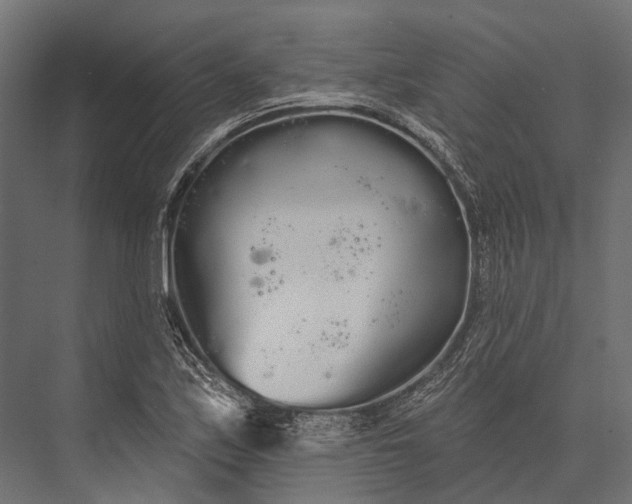 X0000076061171200610061528