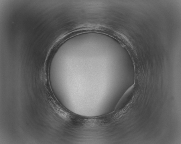 X0000076061172200610061528