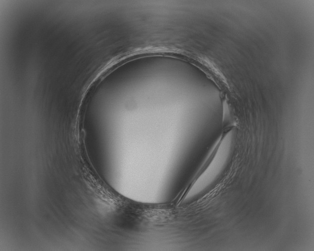 X0000076061173200610061528