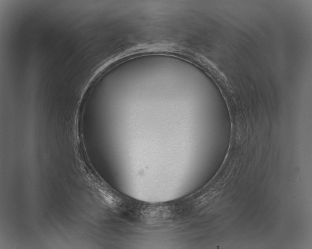 X0000076061174200610061528