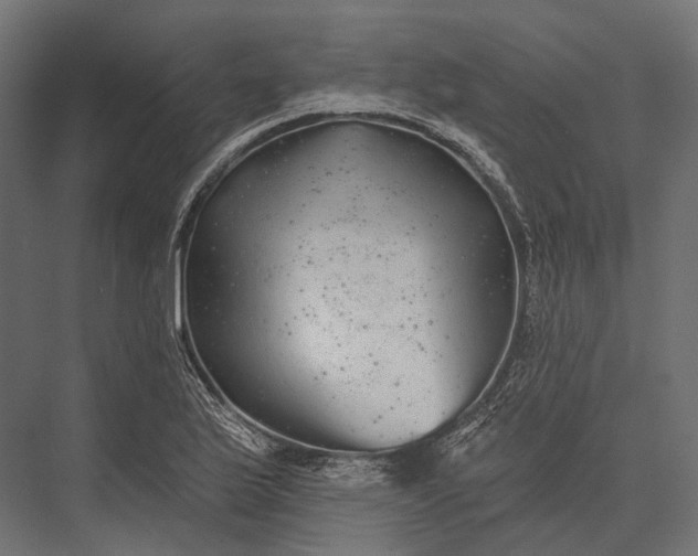 X0000076061175200610061528