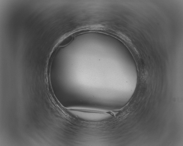 X0000076061176200610061528