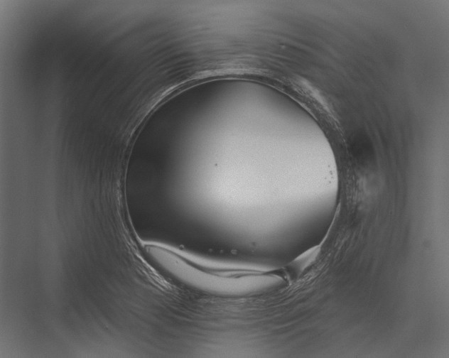 X0000076061177200610061528