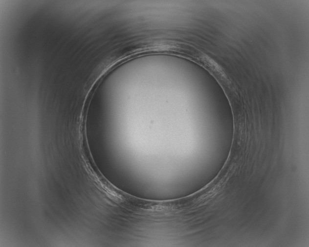 X0000076061178200610061528