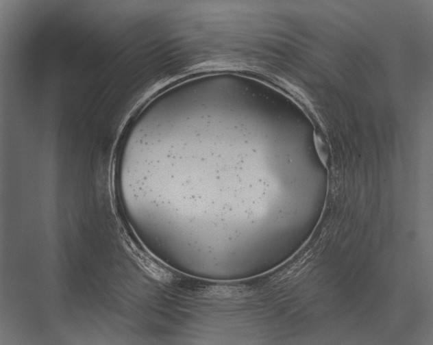 X0000076061179200610061528