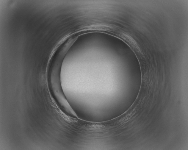 X0000076061180200610061528