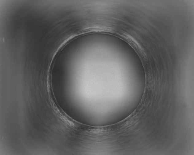 X0000076061182200610061528