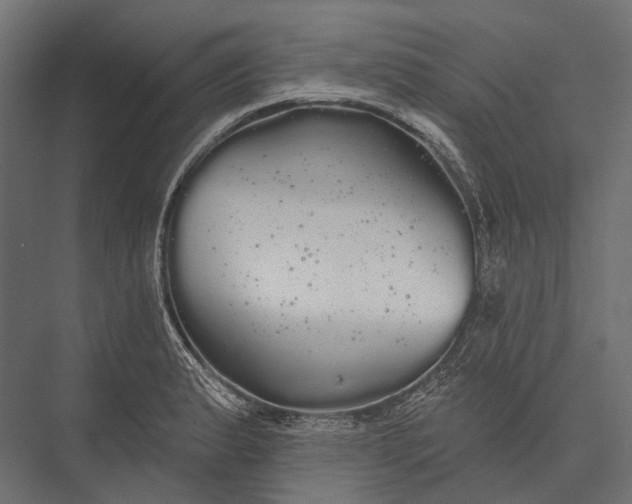 X0000076061183200610061528