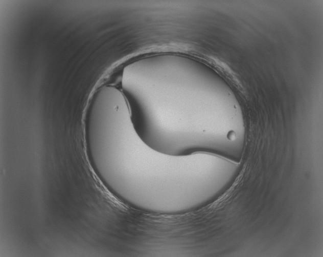 X0000076061184200610061528