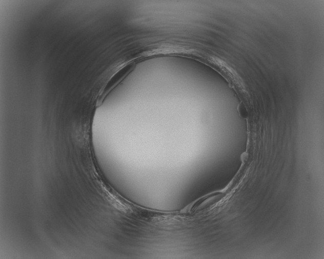 X0000076061185200610061528